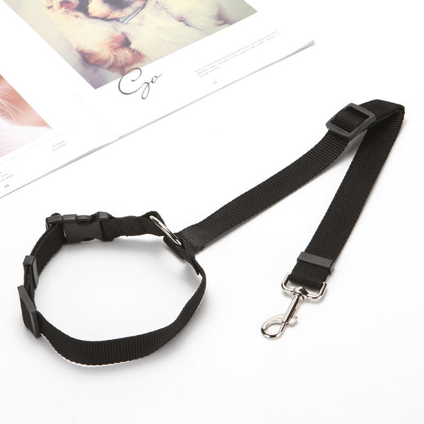 Two-in-one Pet Car Seatbelt and Leash