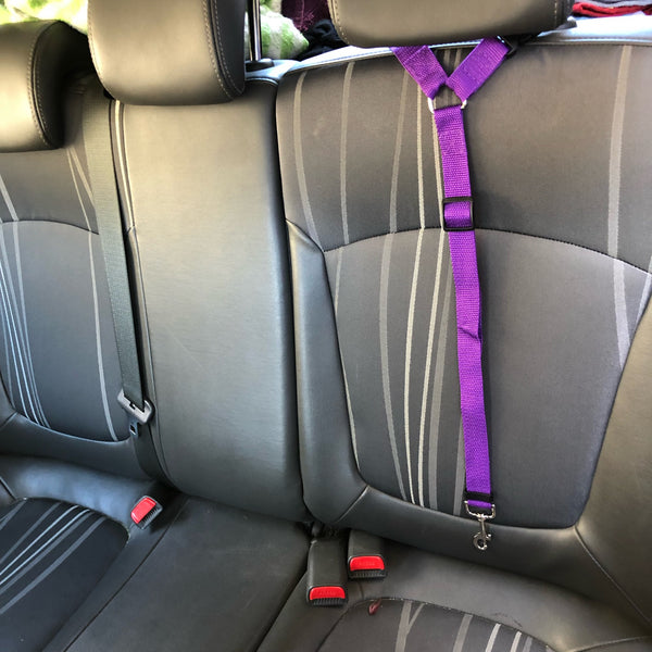 Two-in-one Pet Car Seatbelt and Leash