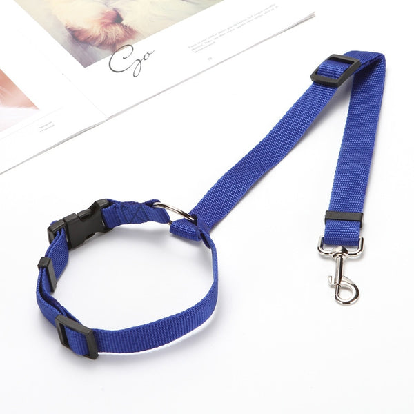 Two-in-one Pet Car Seatbelt and Leash