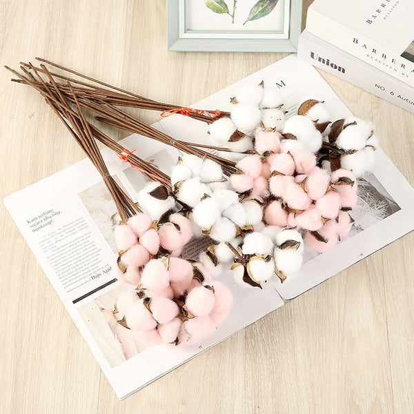 10 Pcs Dried Cotton Bunch